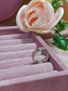 Anello 2012