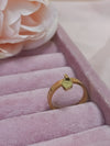 Anello 2014